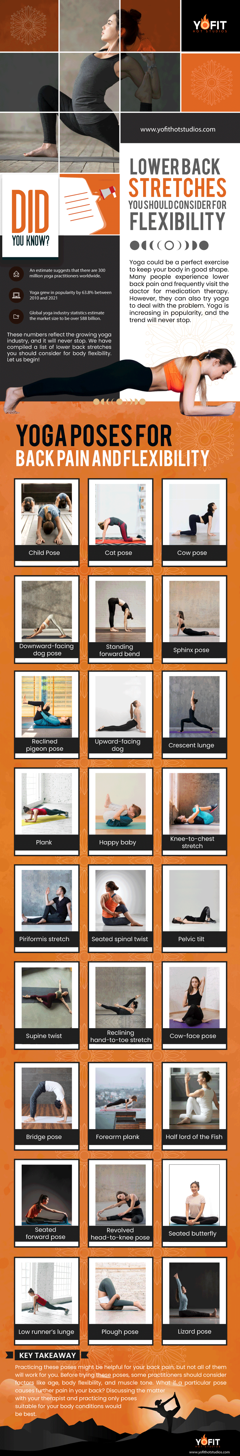 Lower back stretches you should consider for flexibility